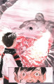 Descender: Singularidades e Mercânica Orbital